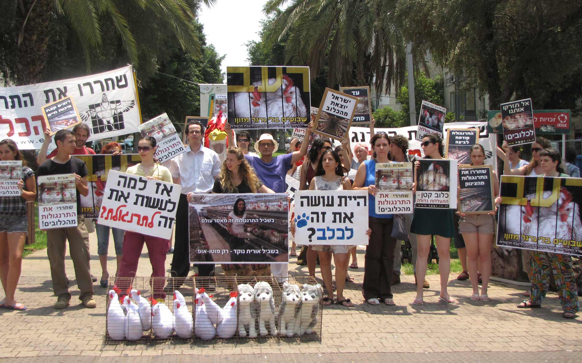 people protesting in the street against the tiny battery cages in the egg industry