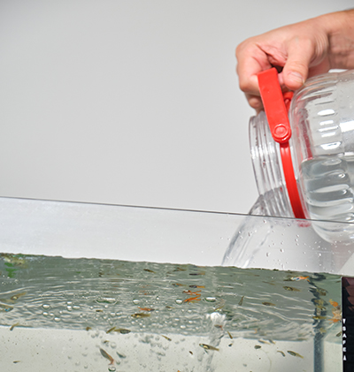 Close up of hands adding water to fill freshwater aquarium.