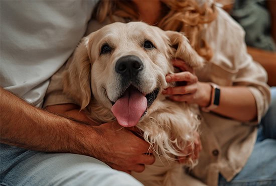 Couple with dog at home