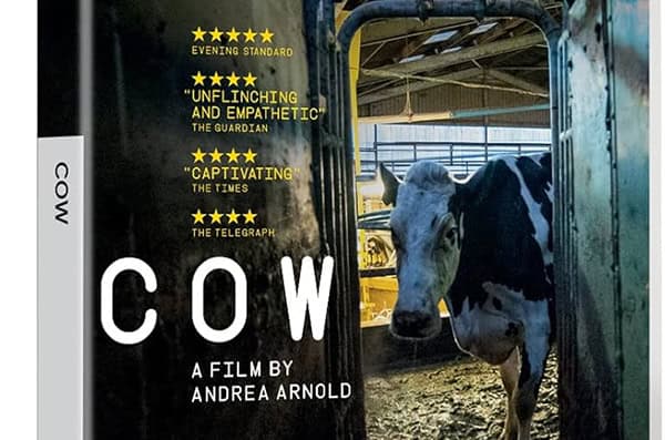 cow