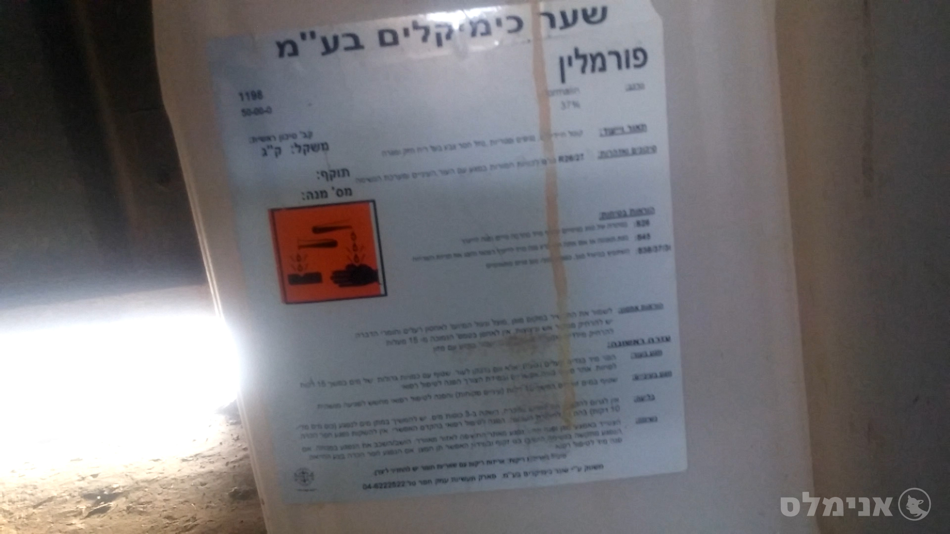 פורמלין במי השתייה של תרנגולי ההודו