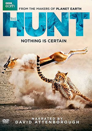 hunt