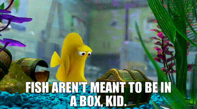 inabox