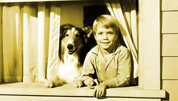 lassie
