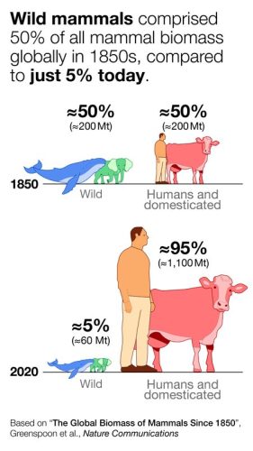 mammals
