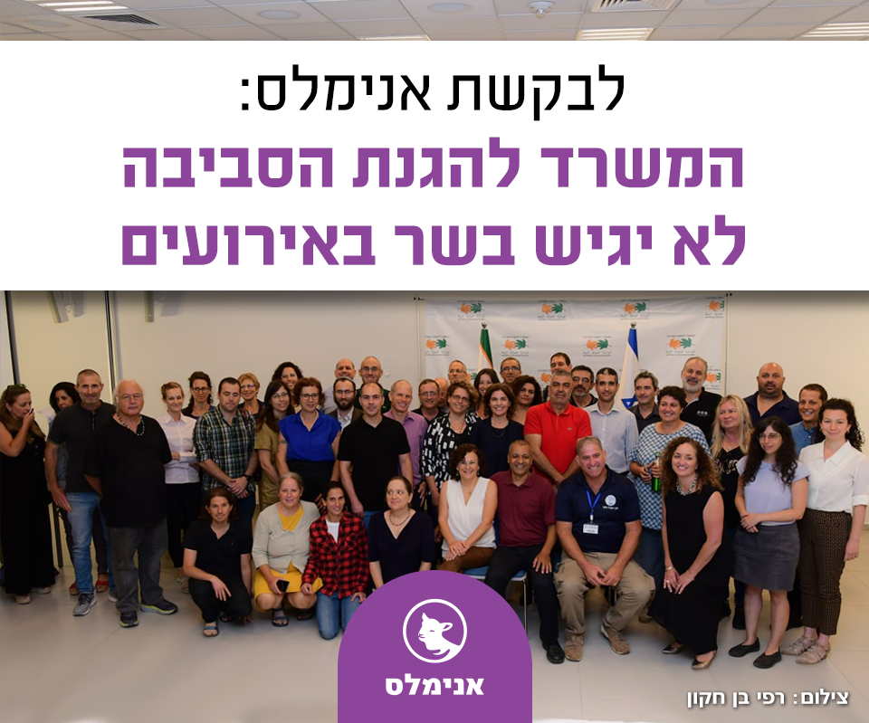 המשרד להגנת הסביבה לא יגיש בשר באירועים