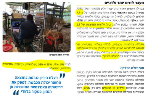 sheep-600-4