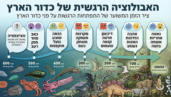 אבולוציה רגשית אילוסטרציה