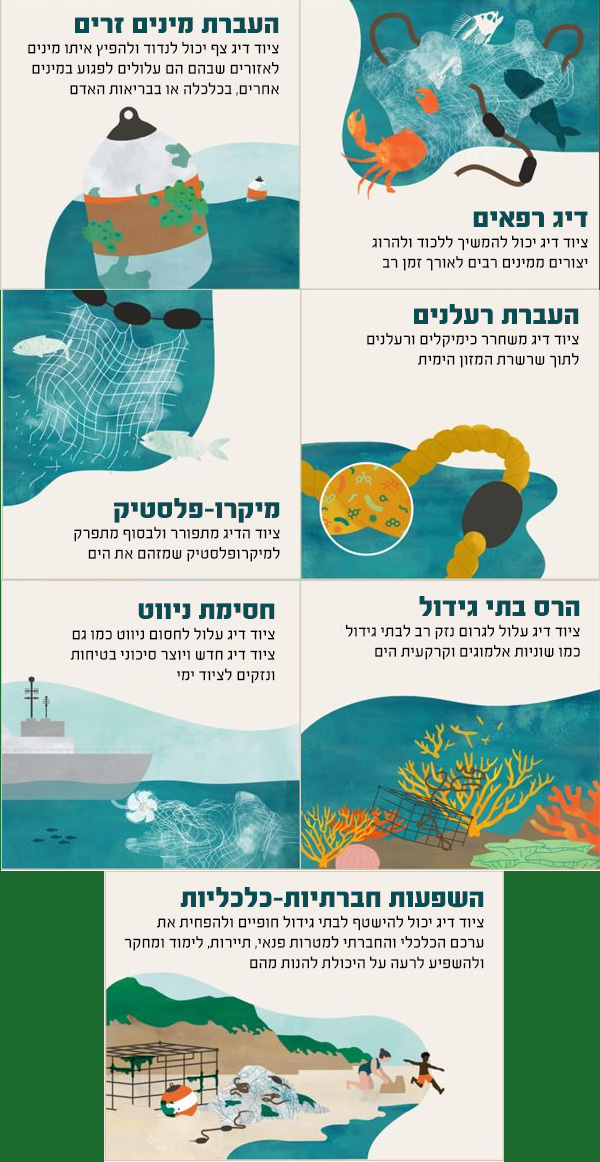אינפוגרפיקה: ההשלכות הסביבתיות של רשתות רפאים
