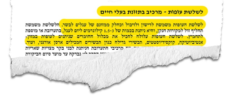 גזיר ציטוט מדוח מבקר המדינה