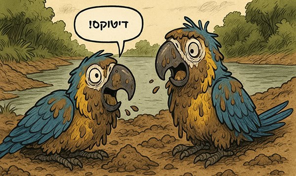 דיטוקס ניקוי רעלים