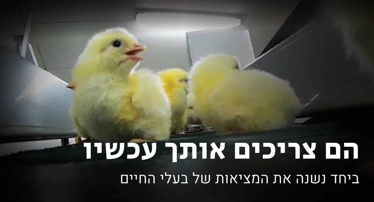 הם צריכים אותך עכשיו - ביחד נשנה את המציאות של בעלי החיים