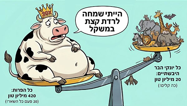 הייתי שמחה לרדת קצת במשקל