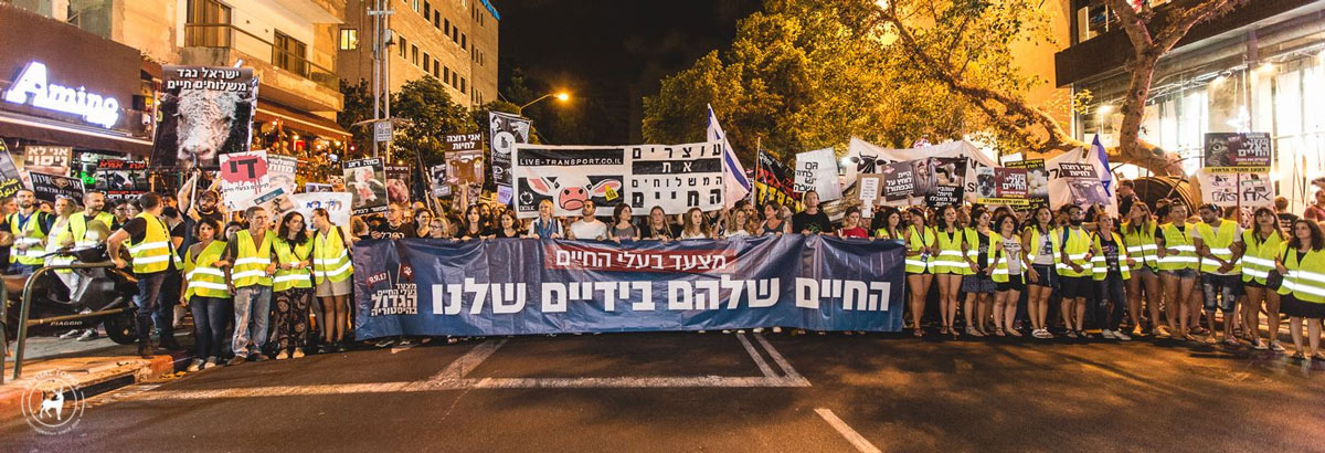 הפגנה נגד משלוחים חיים 2017