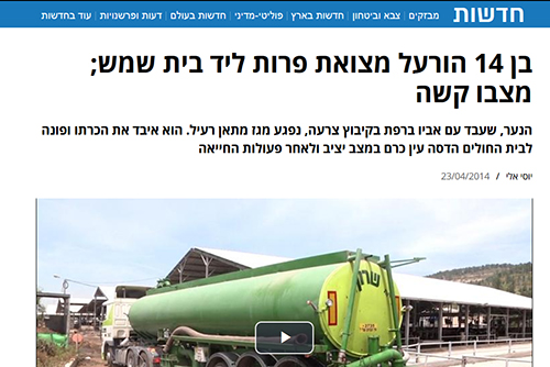 הרעלה מצואת פרות