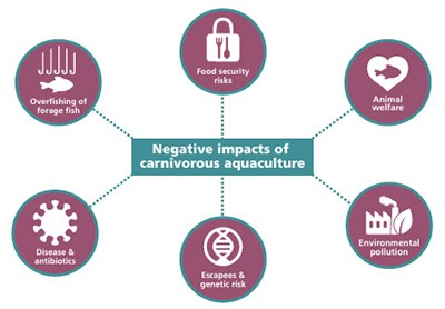 השלכות שליליות של חקלאות טורפת מתוך הדוח