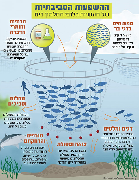 השפעות סביבתיות של כלובי סלמון