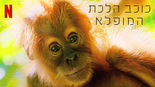 כוכב הלכת המופלא