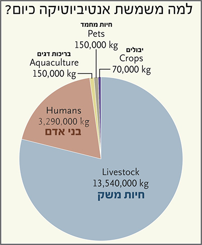 למה משמשת אנטיביוטיקה כיום