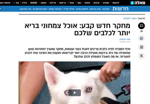 מחקר כלבים צמחונים וואלה22-
