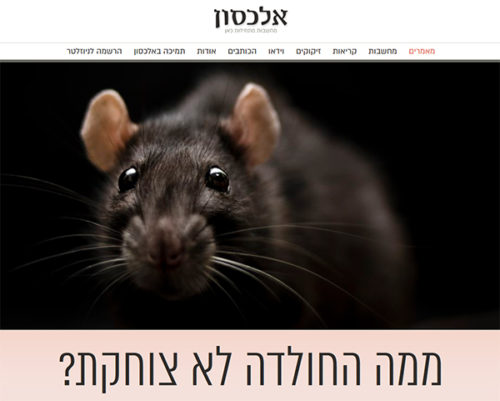 ממה החולדה לא צוחקת אלכסון