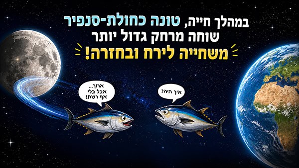 מפגש טונות בדרך לירח