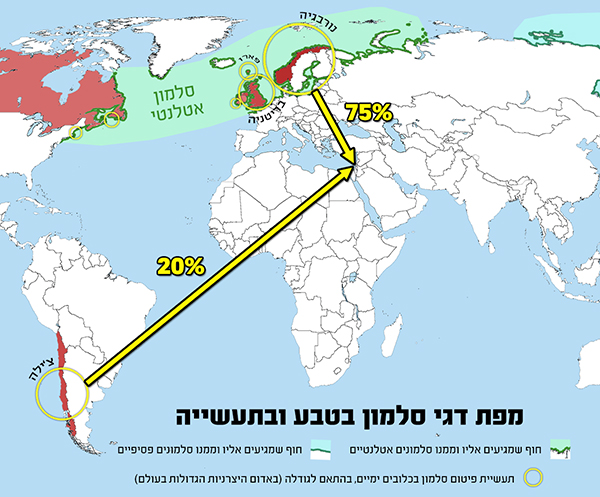מפת דגי סלמון בטבע ובתעשייה עם אחוזי ייבוא לישראל