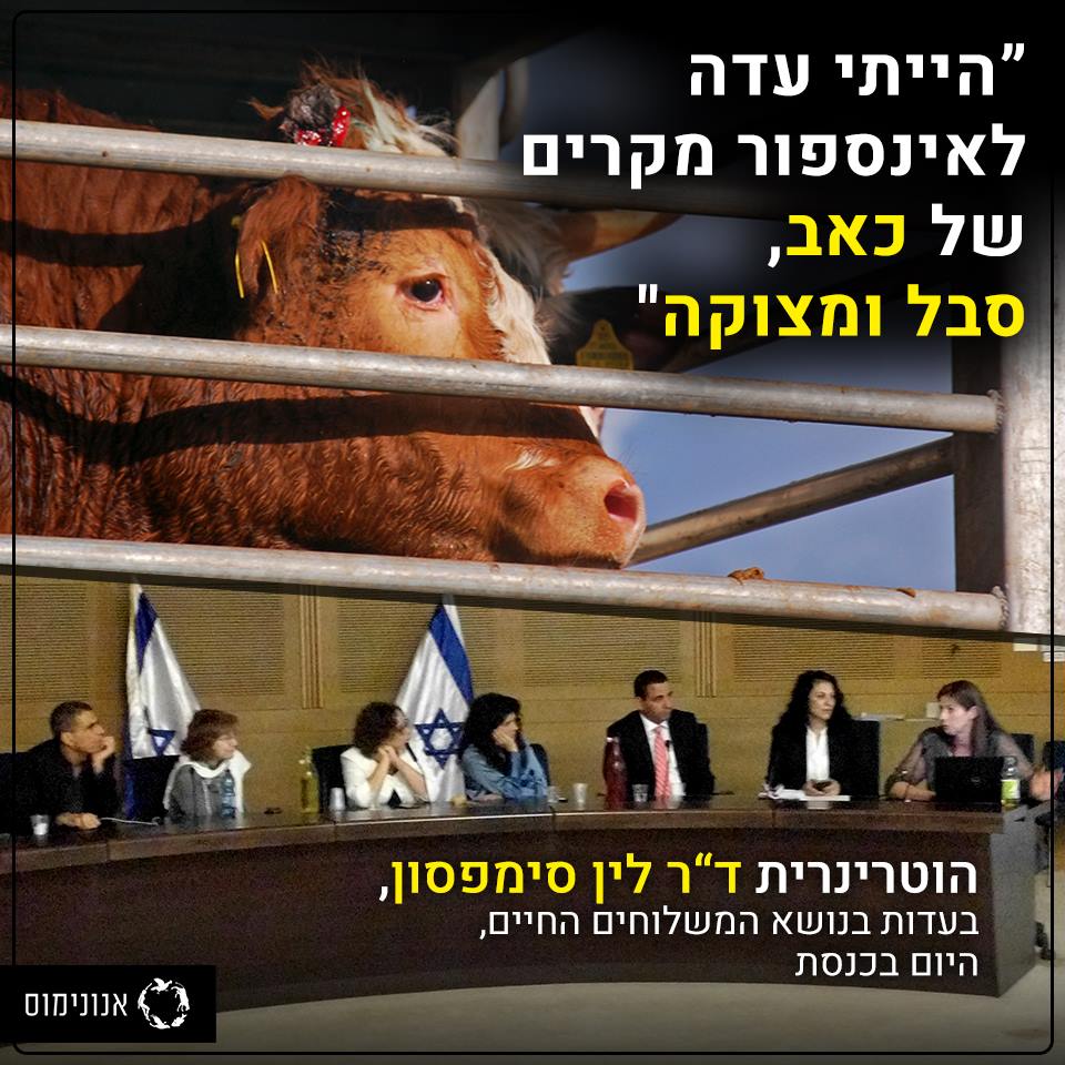 משלוחים חיים לין סימפסון