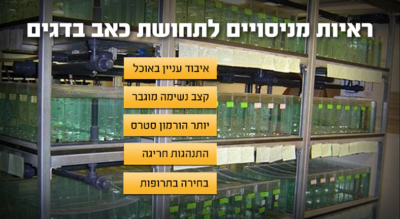 ראיות מניסויים לתחושת כאב בדגים