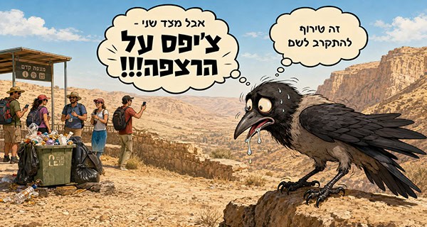 ציפס על הרצפה