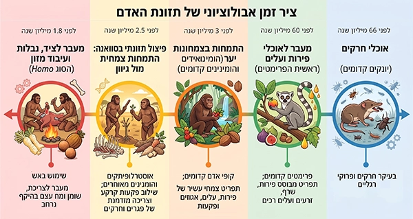 ציר זמן אבולוציוני של שינויי התזונה העיקריים בשושלת שלנו