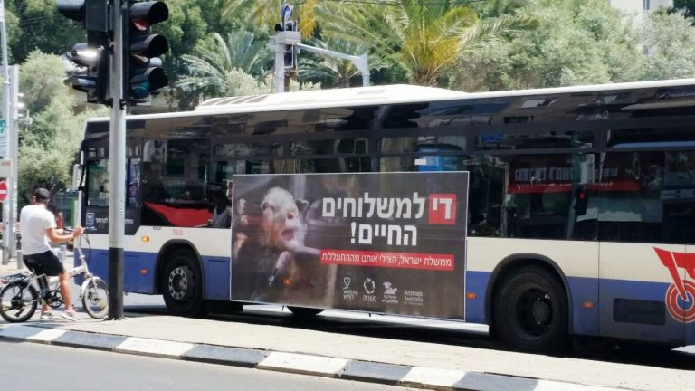 קמפיין-די-למשלוחים-החיים