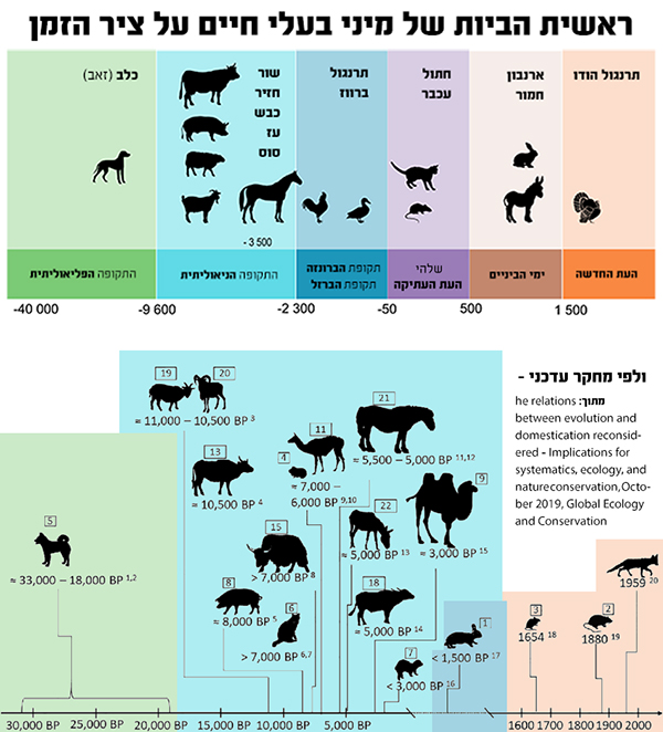 ראשית הביות של מיני בעלי חיים על ציר הזמן עם מחקר עדכני600