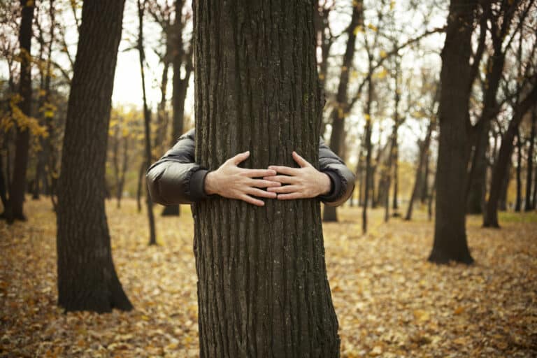 tree and hands of man ,special toned photo f/x, selective focus on hands