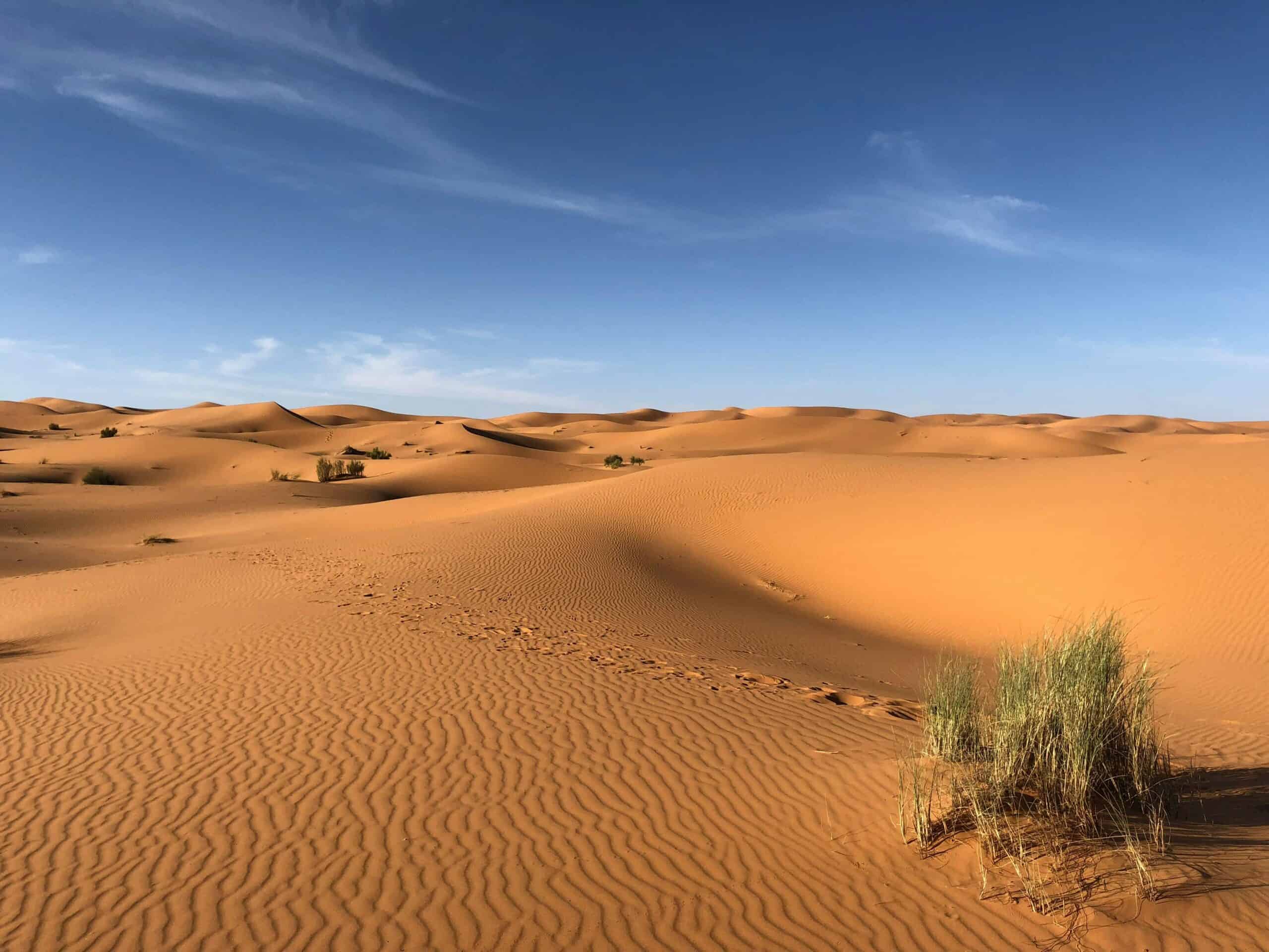 Desert dunes in the Sahara desert