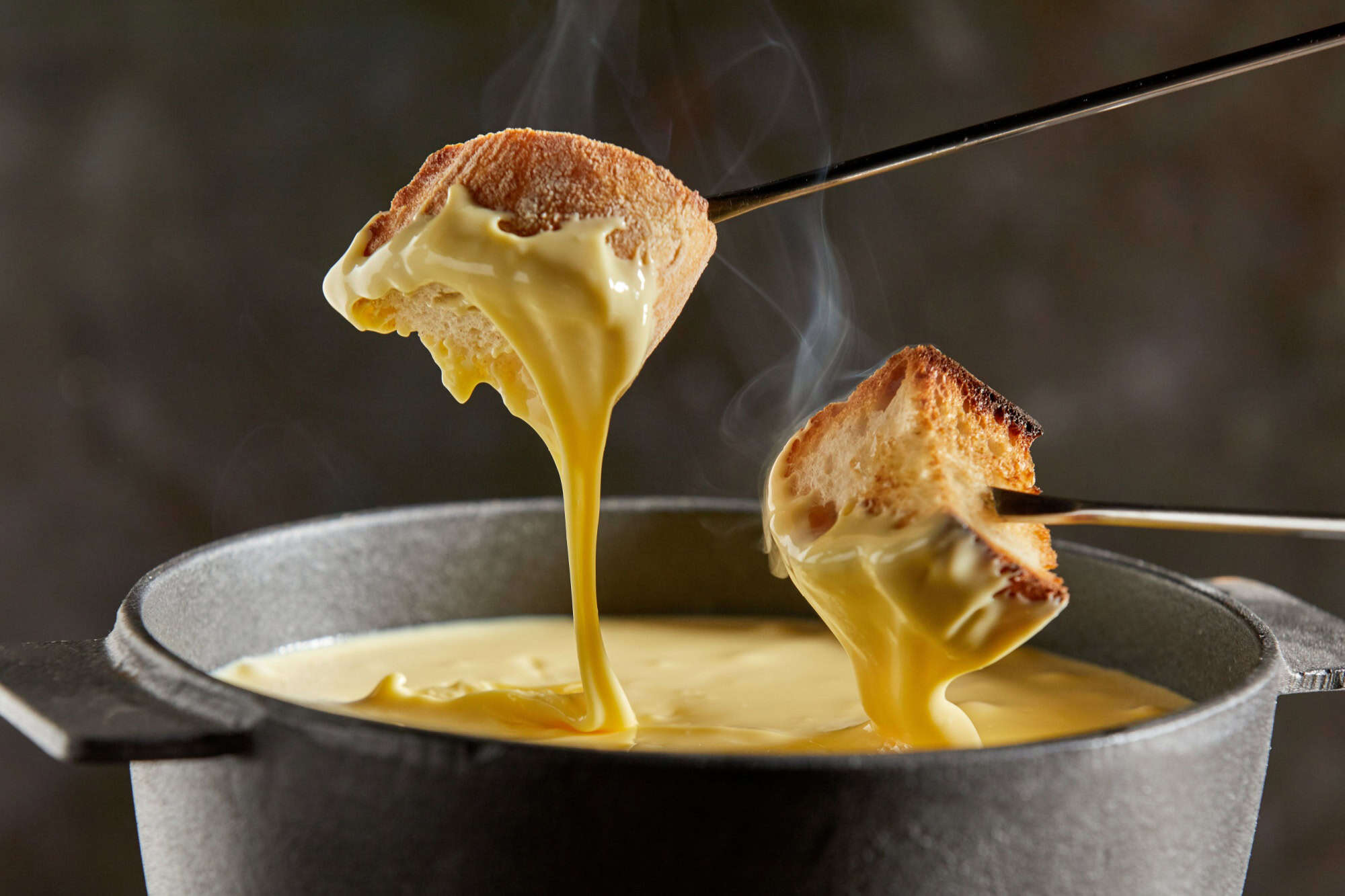 Dipping toasted bread into a hot cheese fondue dripping from the forks in a close up view on a dark background with steam