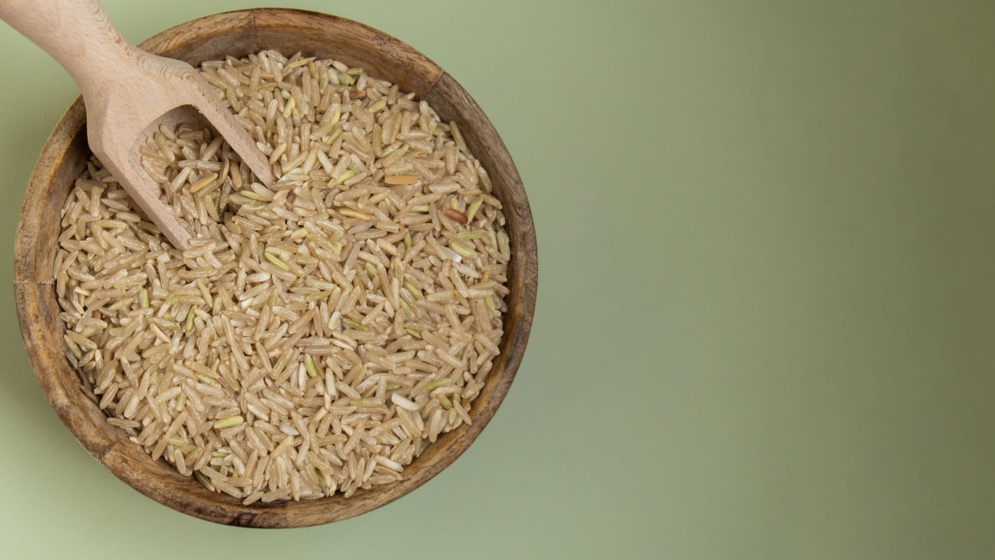 Brown rice in green background copy space. Whole spelt grain species. High protein fiber-rich vegan plant based food ingredient. Gluten free superfood healthy nutritional dietary alternative