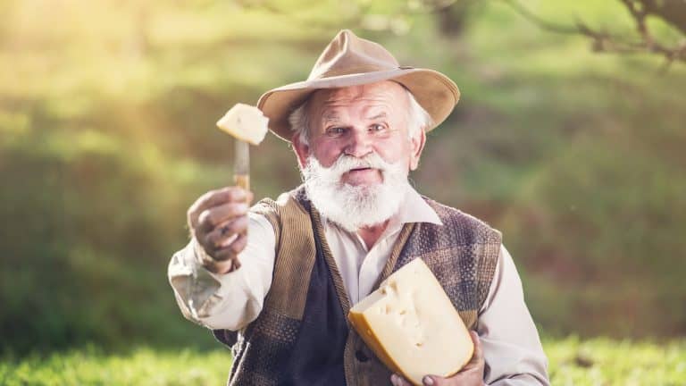 Senior farmer cutting and eating cheese outside in green nature
