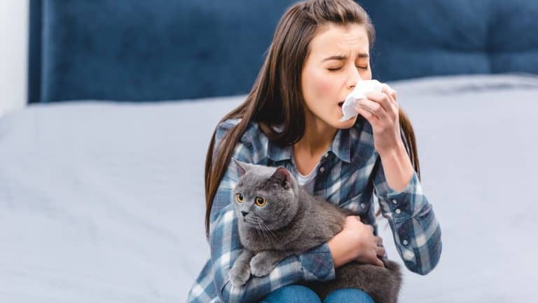 young woman with allergy holding facial tissue and british shorthair cat at home