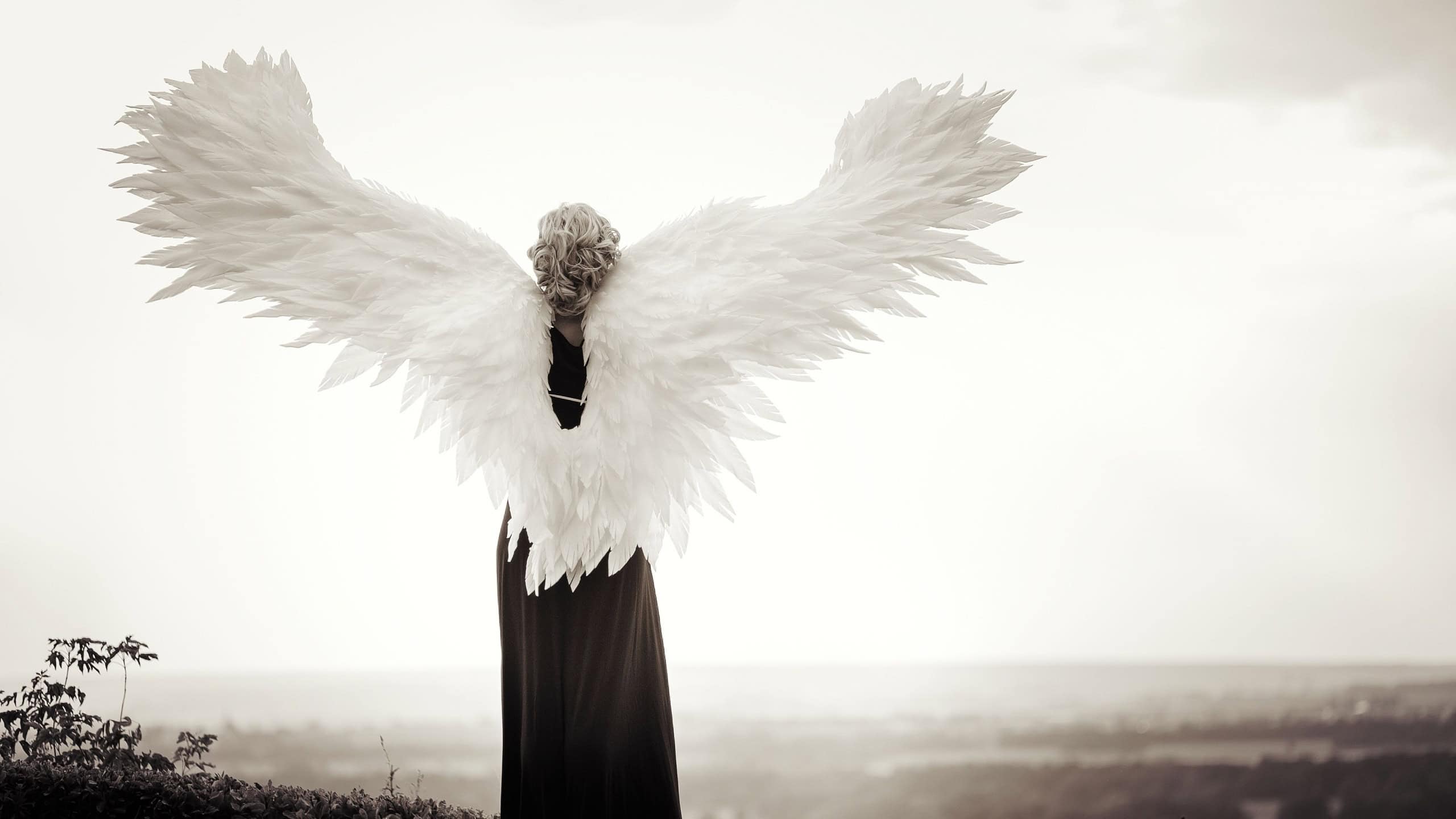 Young glamorous woman in a black dress with a large white angel wings on the background of a dramatic sunset sky. The concept of a fallen dark angel