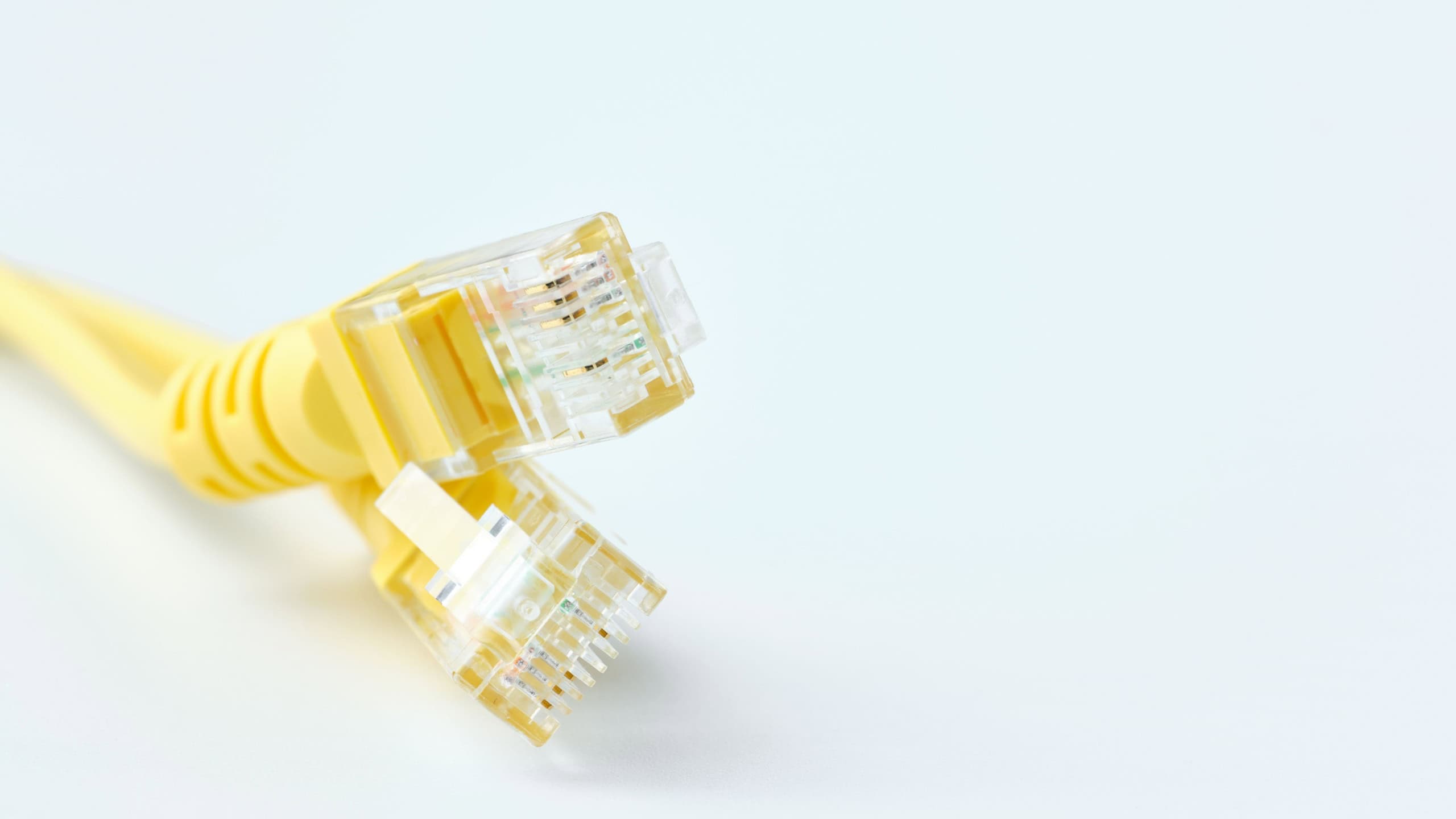 2 male ethernet connectors with yellow cable on white background