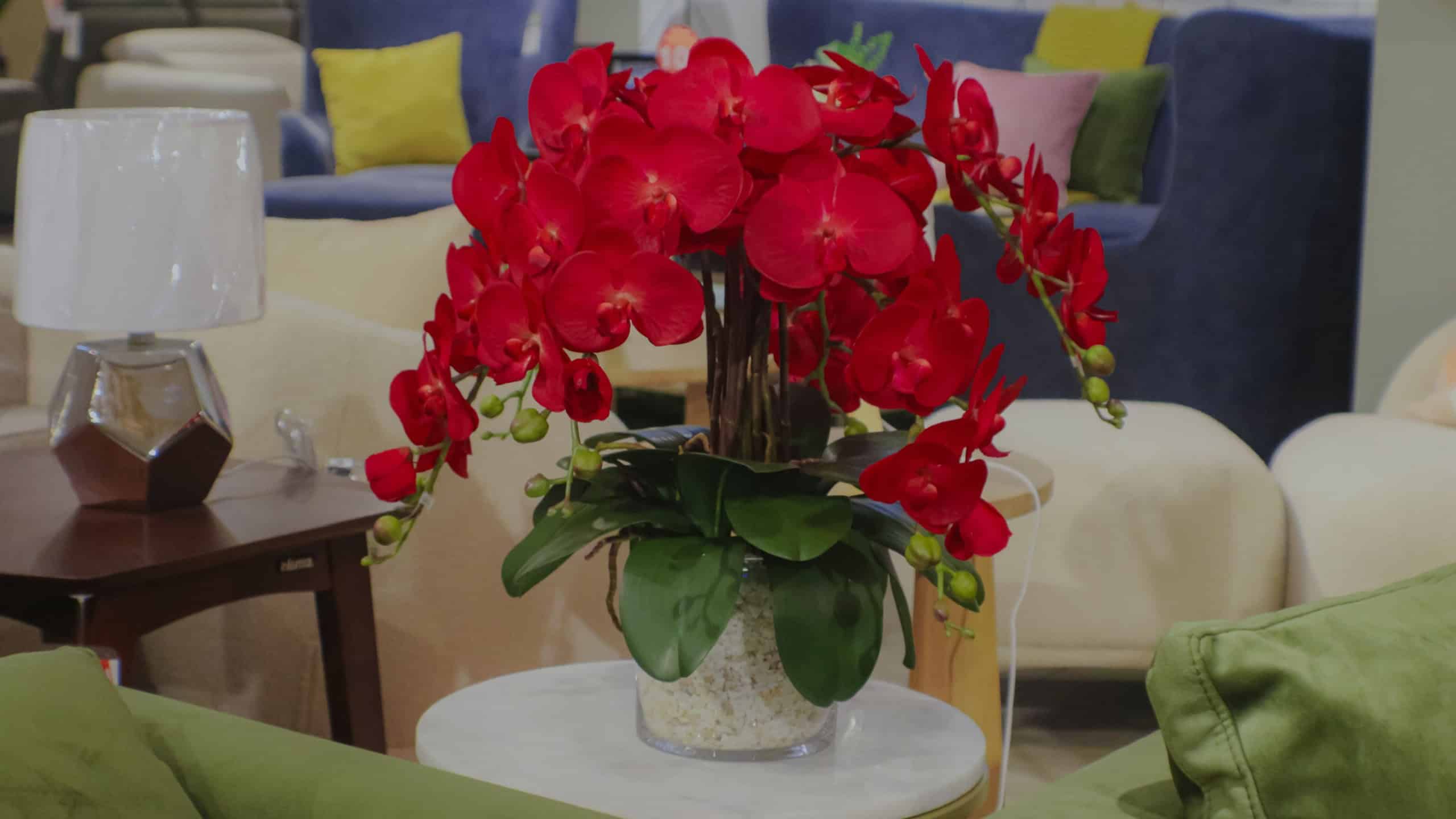 Fake orchid flowers are blushing red for table decoration