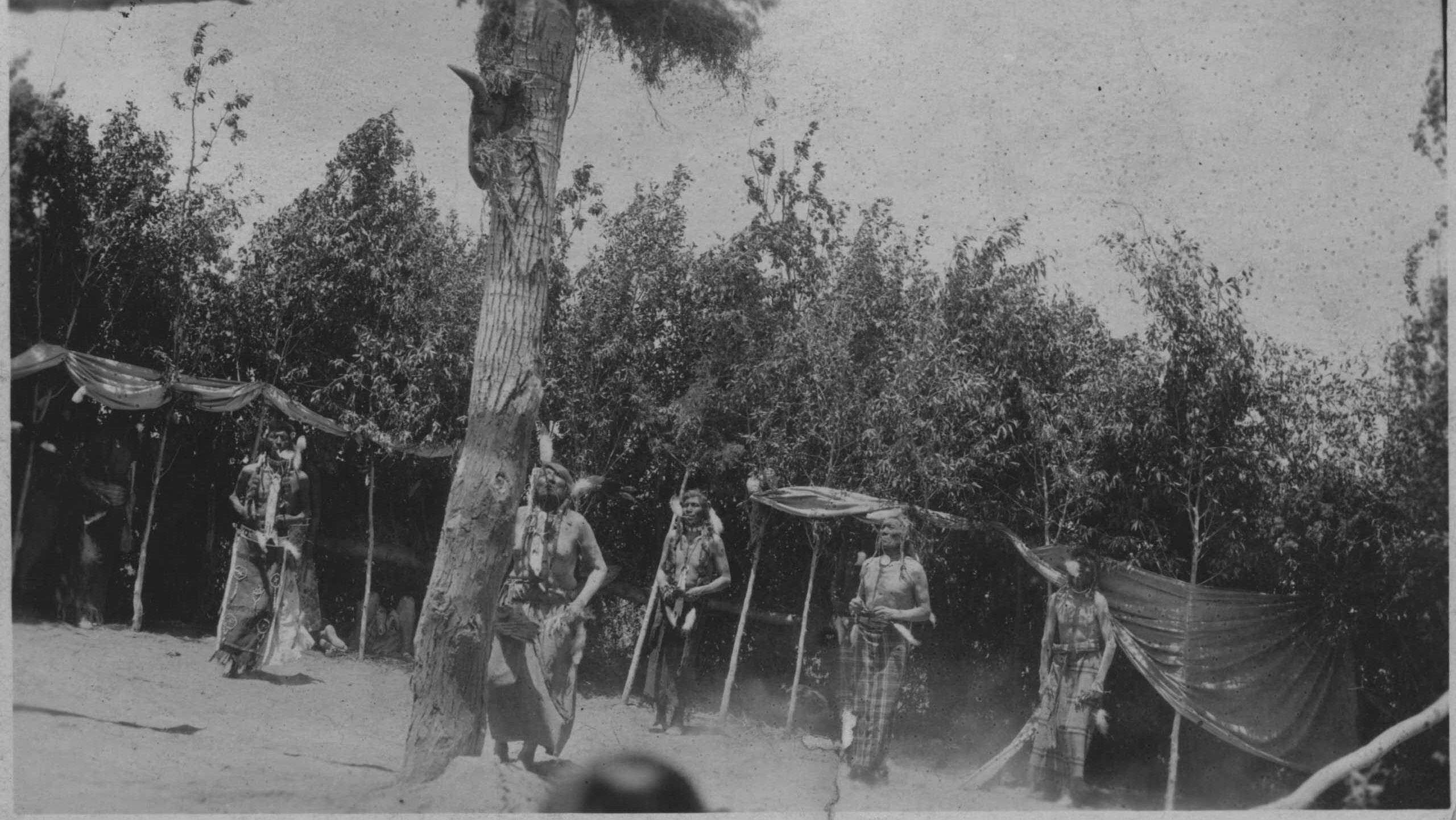 Fort Hall Reservation. Shoshone Sun Dance