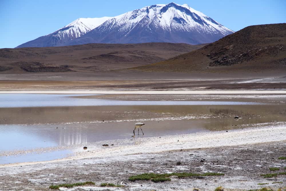 A view from the altiplanic lagoons of Eduardo Avaroa Andean Fauna National Reserve in Bolivia.