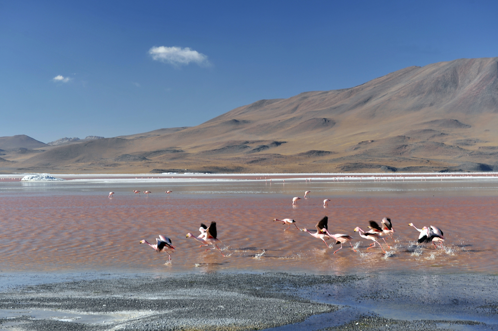 Lake Natron, Tanzania
