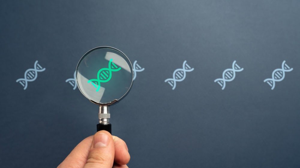 Genome research. Paternity confirmation. Science and medicine health care. Determining the dna gene. Probability and predisposition to diseases. Gene therapy modification of cells technology.