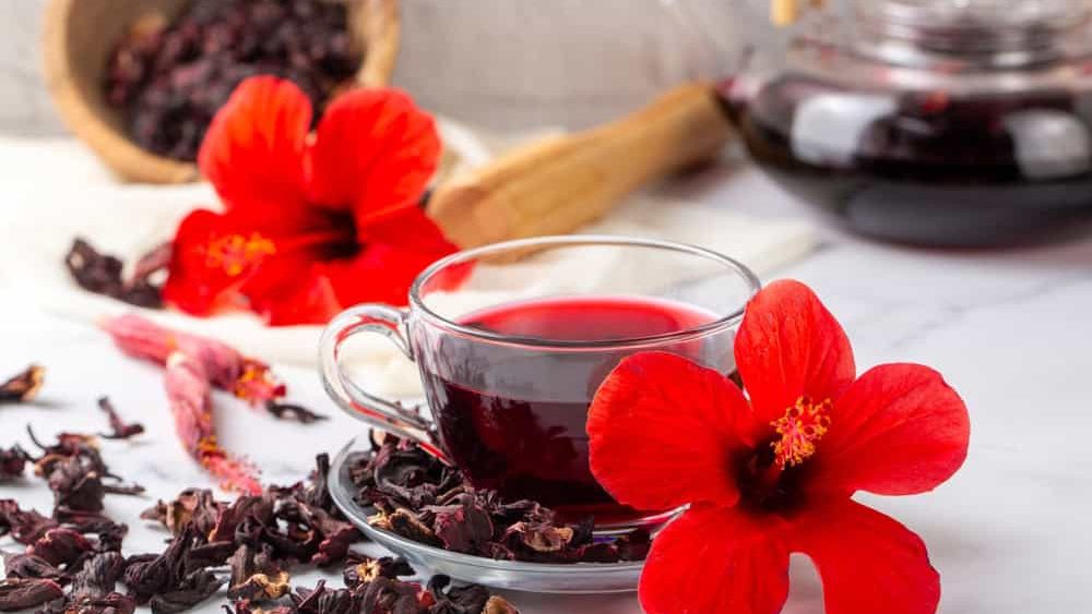 Hibiscus tea, hibiscus flower and dry blossom