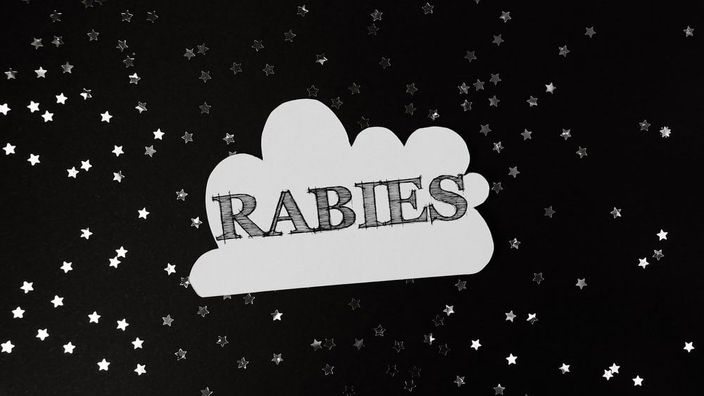 Black and white image of a starry sky with the word Rabies written in white. The image has a mood of mystery and intrigue, as the word Rabies is often associated with disease and illness