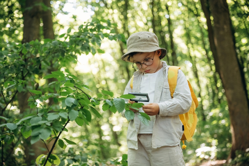 With the magnifying glass. Cute little boy hiker is in the forest.