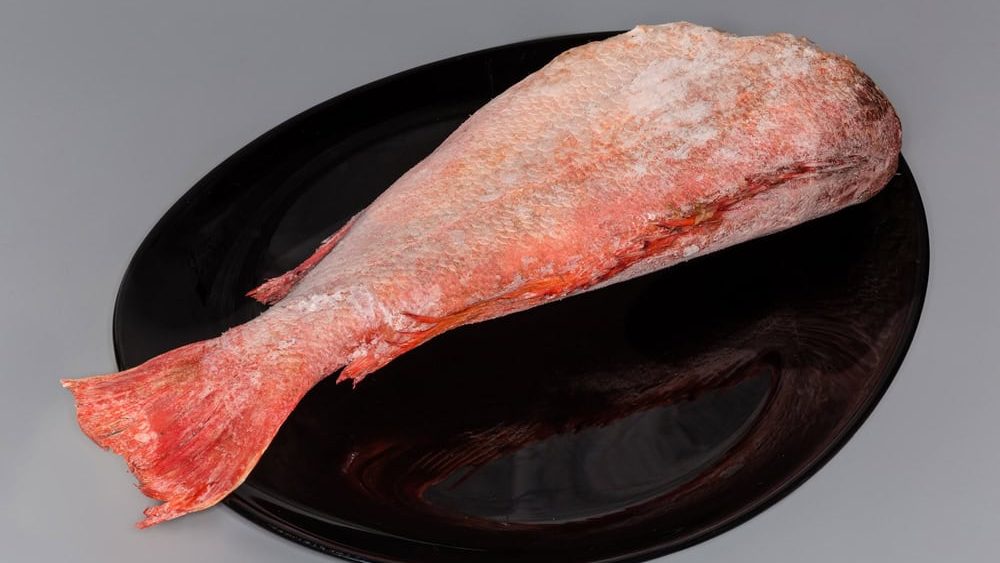 Frozen carcass of redfish, also known as ocean perch, without head covered with hoarfrost on the big black plate on a gray background
